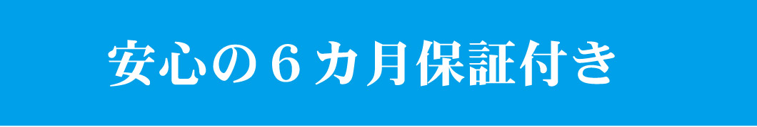 ゴキブリ駆除六か月保証ロゴ